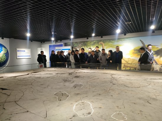 触摸历史脉搏 汲取奋进力量——榆家梁物资集运有限公司走进神木市博物馆开展主题党日活动